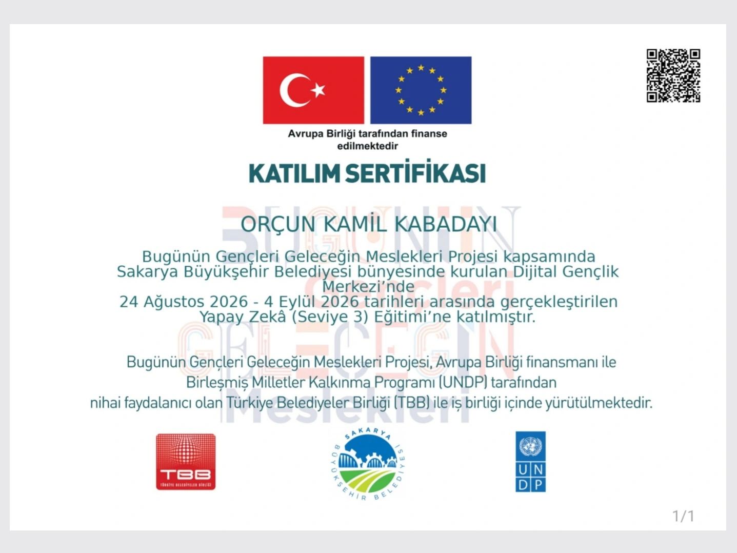 Yapay Zekâ (Seviye 3) Katılım Sertifikası