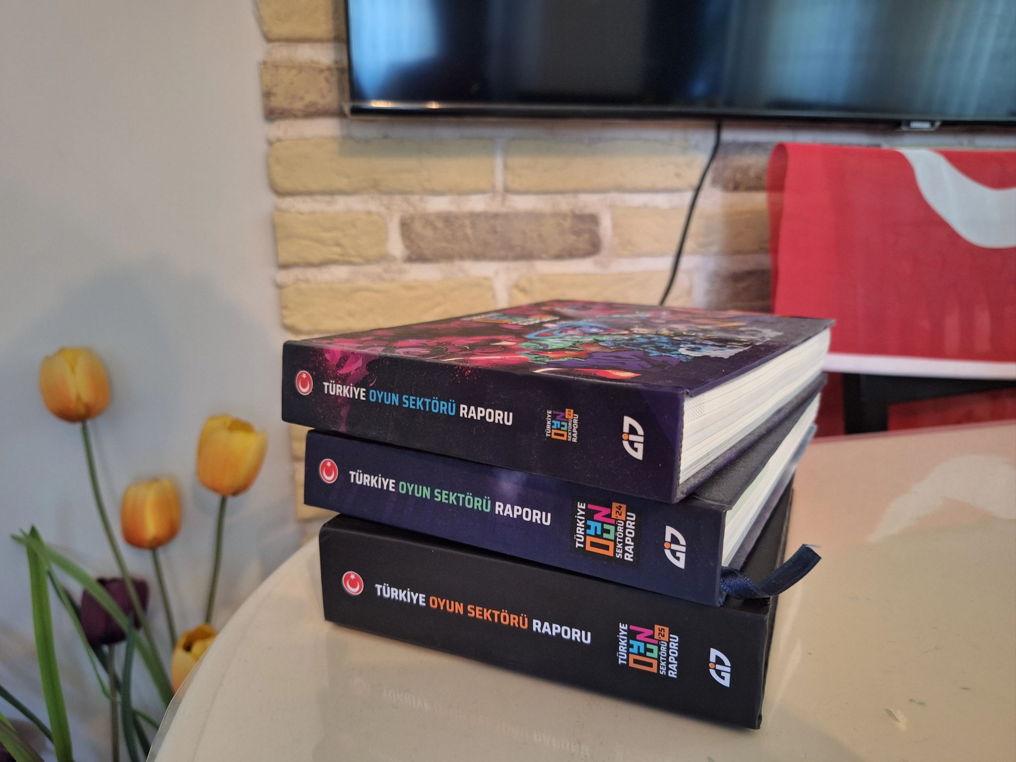 Türkiye Oyun Sektörü Raporu — görsel 1